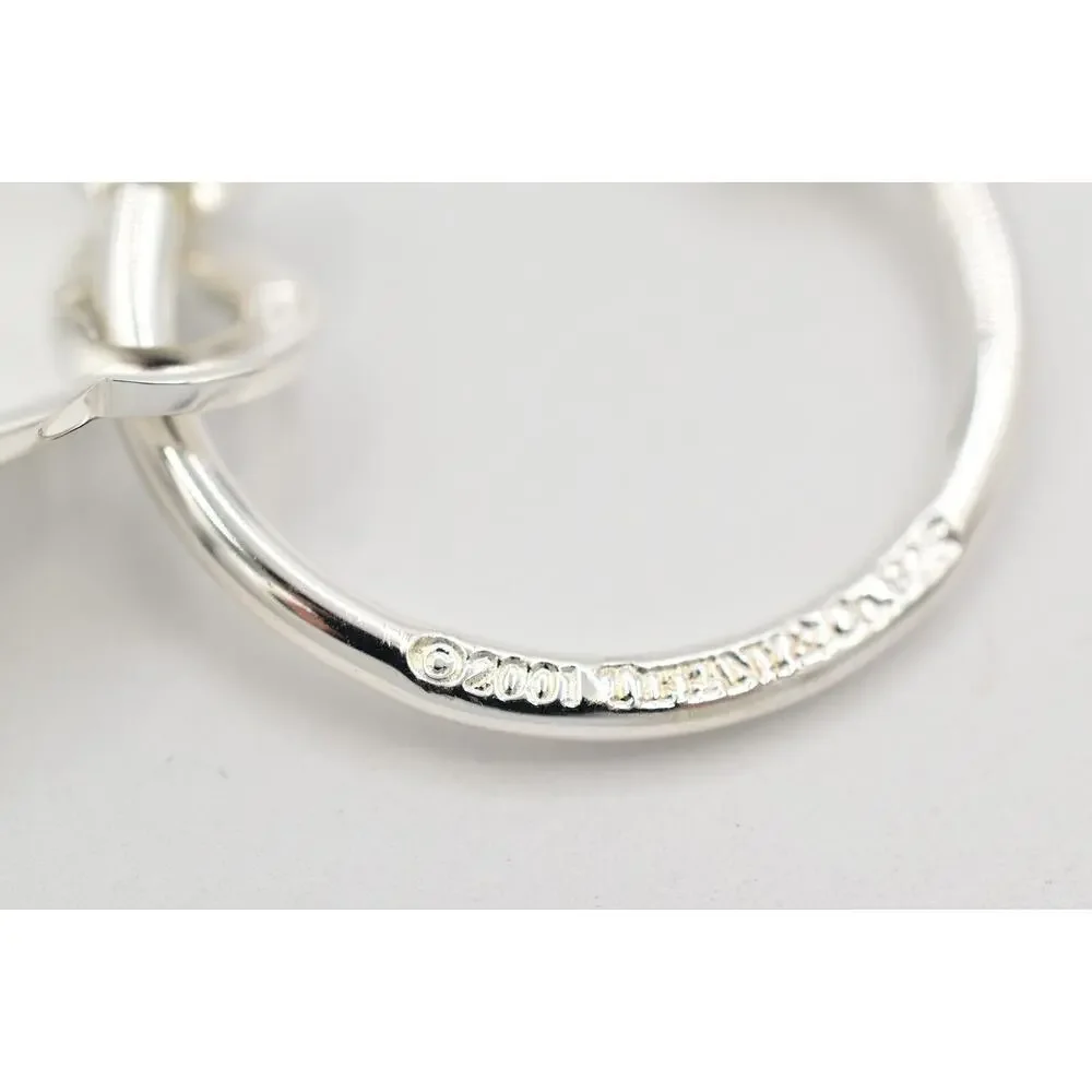 Tiffany & Co. Horseshoe Keyring Tiffany Notes Heart Charm Sterling Silver 925